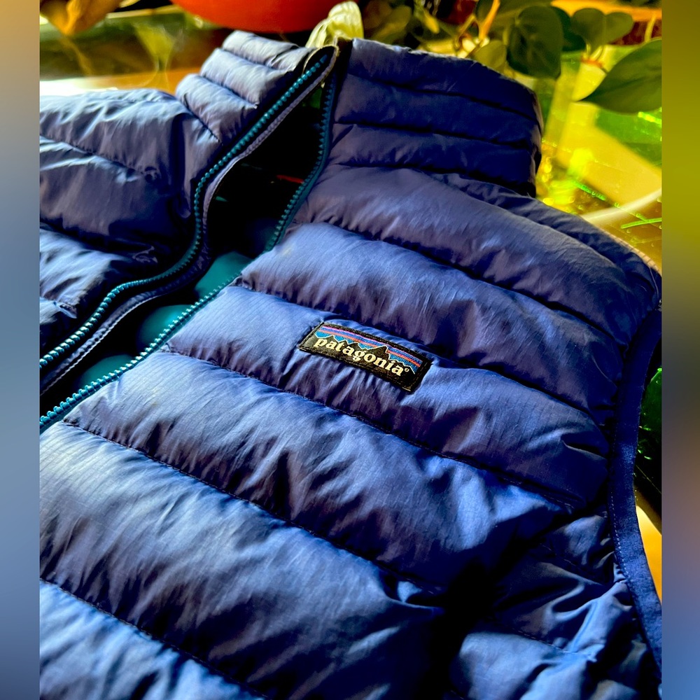 Patagonia Down Sweater Vest Women’s